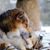 Xoan C. Garrido's profile image