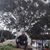 Eduardo Risco's profile image