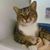 Deanna Disbrow's profile image
