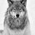 Mark Wilson's profile image