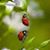 Keli Herrin's profile image