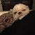 Vicki Petree Stuart's profile image