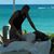 Chris Bushnell's profile image