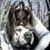 K.t. Suire's profile image