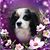 Susan Holloway's profile image
