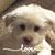 Nancy Chamberlain-Fox's profile image