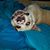 Steffaney Smith's profile image