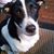 Sue Hilger Damico's profile image