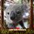 Ann Palumbo's profile image