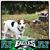 Dawn Markley's profile image