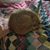 Carla McNeelan Tillman's profile image