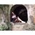 Tania Herrera's profile image
