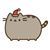 Tracie Ellsworth Masi's profile image