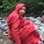 Farheen Taquee's profile image