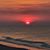Susan Naylor's profile image