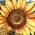 Brenda Hartenstine-Hope's profile image