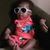 Donzetta Funches-Ragsdale's profile image