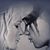 Sara Turchi's profile image
