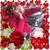 Silvia La Pantera's profile image