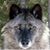 Brian Schlagel's profile image