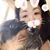 Rits Trinidad's profile image