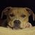 Lynnette Campbell's profile image