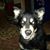 Debbie Voll's profile image