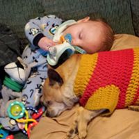 Lisa Farthing's profile image