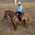 Juan C. Zepeda's profile image