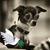 Kathy Elizondo's profile image