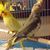 Tammie J. Busby's profile image