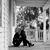 Kerry Polansky Arnold's profile image