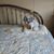 Peggy Banchor's profile image