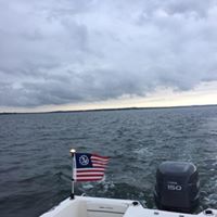 Carol Ann's profile image