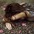 Donya Amiri's profile image
