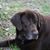 Jenny Cantrell Robinson's profile image