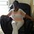 Fredia Bingham-Chambers's profile image