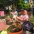 Gene Generoso's profile image