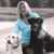 Amanda Cooper's profile image