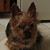 Pam Biddle's profile image