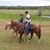 Diane Henry's profile image