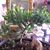 Tony Alipio Sr.'s profile image