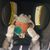 Shandis DeeAnn Rose's profile image