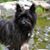 LaWatha Wisehart's profile image