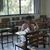 Shoti Almario's profile image