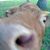 Rick Smith's profile image