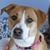 Millie Waring's profile image