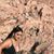 Isabella Thalia Castillo's profile image