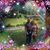 Lynda VanZandt Shirley's profile image