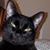 Chip Reed's profile image